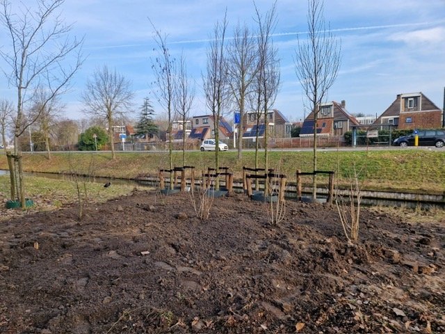 Bomen Holmkwartier