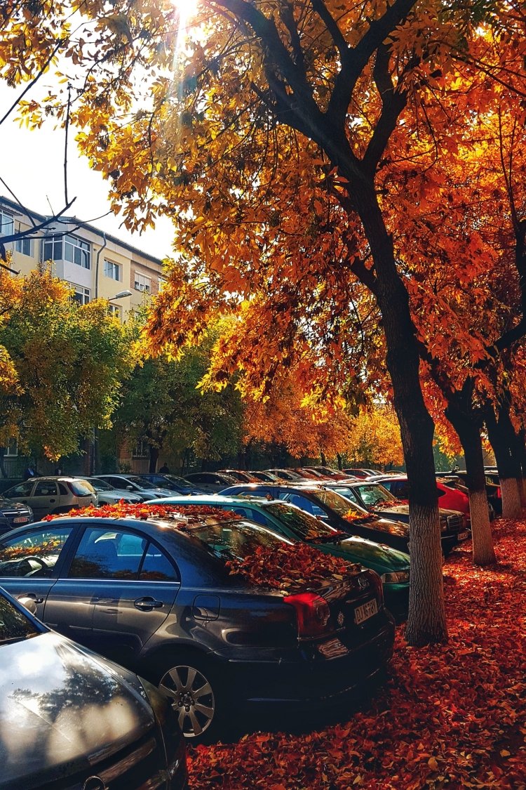 Parkeren