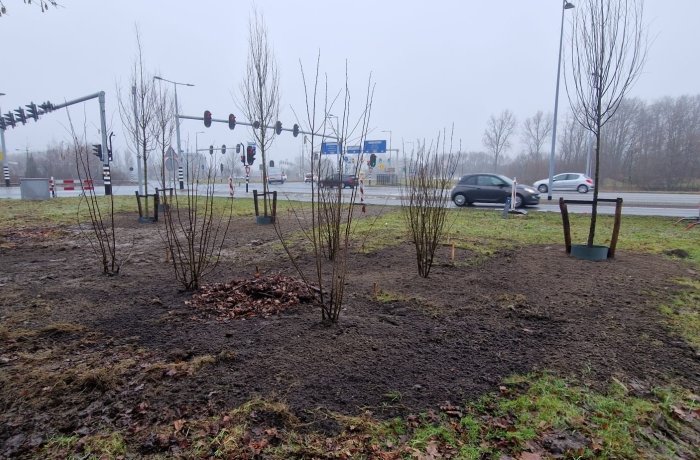 Aanplanting en marternest kruispunt Kruisweg Van Heuven Goedhartlaan Hoofddorp